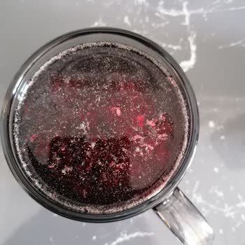 Küflü Dimes Suyu İçmeyin