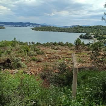 Muğla Büyükşehir Belediyesi İhbar Kaçak Yapı