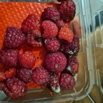 Migros Sanal Marketten Çürümüş Meyve
