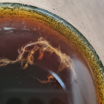 Promalt İçecek Yabancı Madde