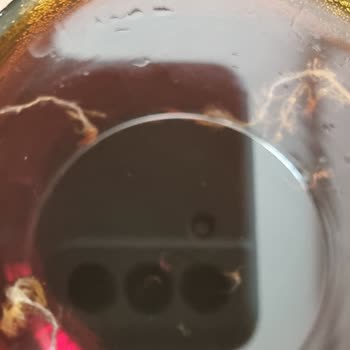 Promalt İçecek Yabancı Madde