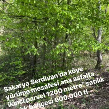 Sahibinden.com Sakarya/Serdivan/dağyoncalı Arsa Satışı