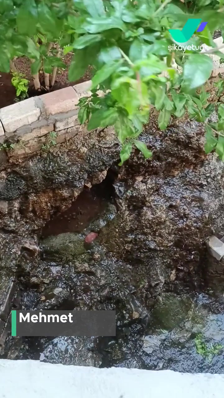 Alo 185 Su Ve Kanal Arıza Evin İçine Su Giriyor, Kimse De Yardımcı Olmuyor! videonun kapak resmi