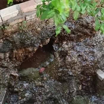 Alo 185 Su Ve Kanal Arıza Evin İçine Su Giriyor, Kimse De Yardımcı Olmuyor!