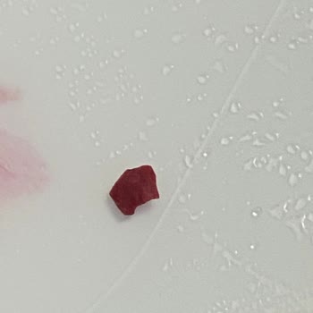 Golf Dondurma Golf Royal Gourmet Dondurmadan Ahududu Renginde Sert Plastik Çıktı.