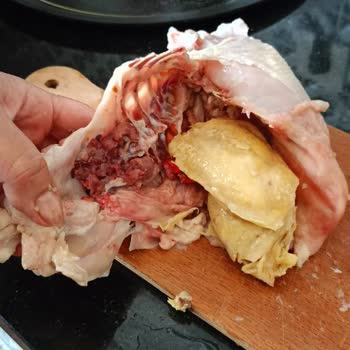 BİM Tazem Pilicin İçinden Çıkanlar