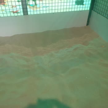 Ennjoy Oyun Alanı (Entepe) Ennjoy Çocuk Eğlence Sağlık Riskleri