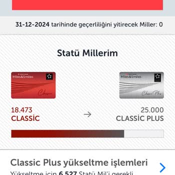 THY Statü Mil Satın Alamıyorum