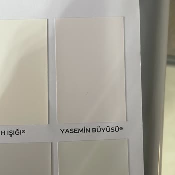 Marshall Boya Renk Hüsranı: Beklentiler Ve Gerçekler Arasındaki Fark