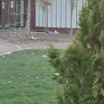 Sivas Belediyesi Yeni Millet Bahçesi Çok Kirli