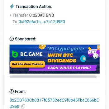 Metamask Shiba Protokol Adres Hatası