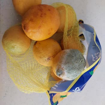 Migros Sanal Market Çöpe Atacağı Ürünlerini Vatandaşa Satıyor