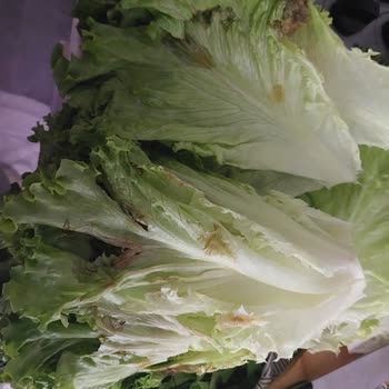 Migros Sanal Market Çöpe Atacağı Ürünlerini Vatandaşa Satıyor