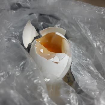 Maxipaş Bozul Ürün Satılıyor