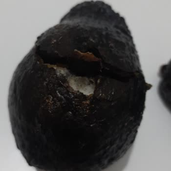 A101 Kapımda Uygulamasından Gelen Çürümüş Avokadolar