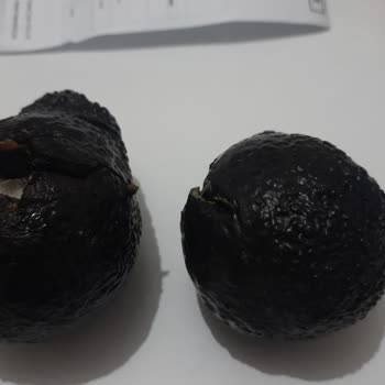 A101 Kapımda Uygulamasından Gelen Çürümüş Avokadolar