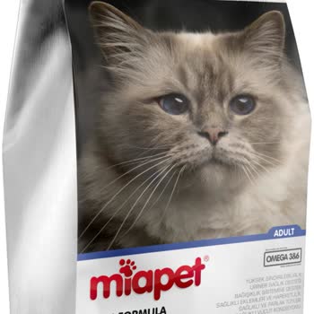 Miapet Kuru Mama Sorunu