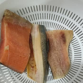 Balık Dünyası Bayat Balıklar