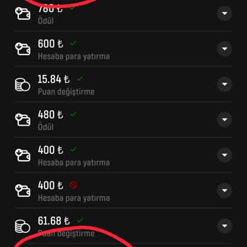 BaşarıBet Para Çekme Ve Belge Doğrulaması