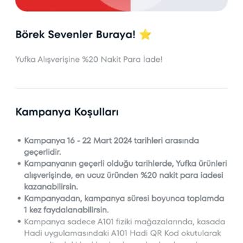 A101 Hadi Geri Yüklemesi Gereken Para Puanı Yüklemiyor.