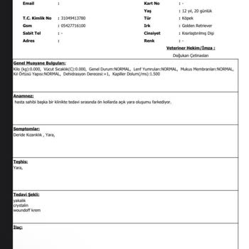 Eryaman Veteriner Kliniği Eryaman Veteriner Hastanesi