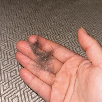 Bio Pet Active Bio Kedi Deri Ve Tüy Sağlığı Damlası