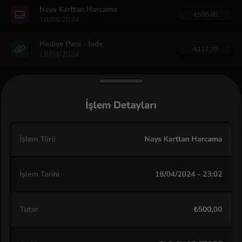 FLO Ayakkabı Nays Hesabımdan FLO Cüzdana 500 TL Yükledim Ama Param Görünmüyor