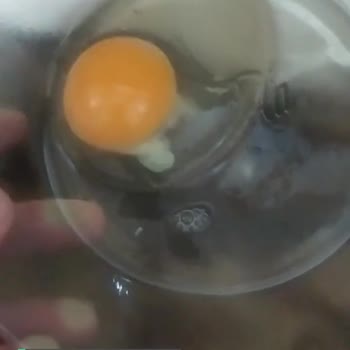 Keskinoğlu Yumurtanın Zarı Ve Akışkanlığı