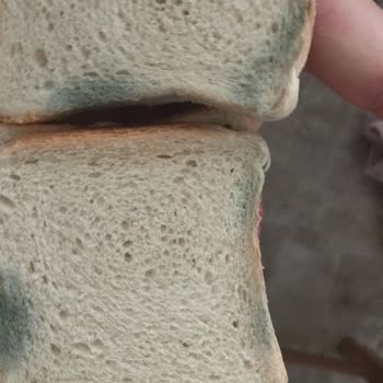 Şok Market Tost Ekmeği