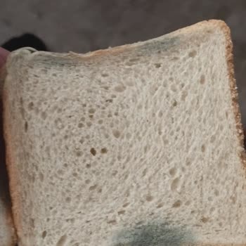 Şok Market Tost Ekmeği