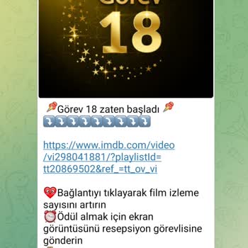 Telegram'da Organize Hakkında