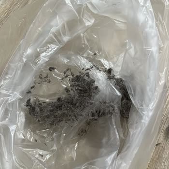 Rumeli Halı Yıkama Kalitesiz Hizmet Sonrası Halı Yıkama Hüsranı