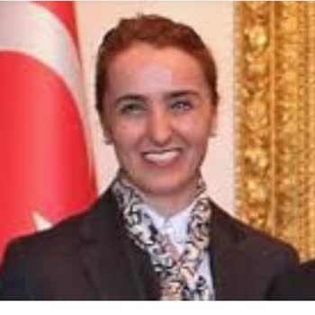 Ankara Barosu Hukuki Süreçte Mağduriyetim Ve Taleplerim
