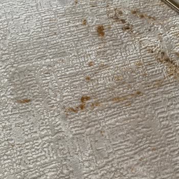 Gümüşsuyu Halı Gümüşsuyu Çağrı Merkezine Ulaşamam Sorunu