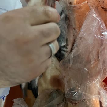 Balıkhanem Taze Diye Donuk Ve Bozuk Ürün Gönderiyor