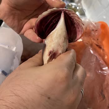 Balıkhanem Taze Diye Donuk Ve Bozuk Ürün Gönderiyor