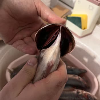 Balıkhanem Taze Diye Donuk Ve Bozuk Ürün Gönderiyor