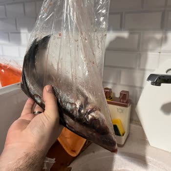 Balıkhanem Taze Diye Donuk Ve Bozuk Ürün Gönderiyor