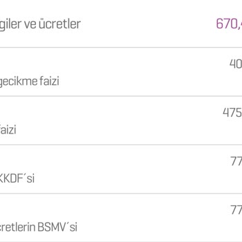 Enpara Haksız Faizlendirme Para İade Talebi