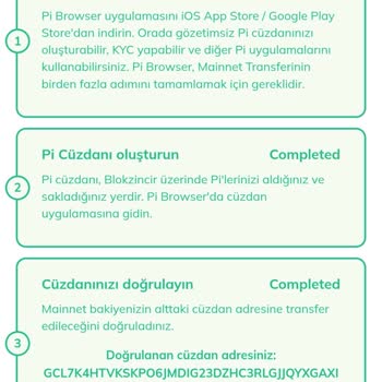 Pi Network Doğrulanmamış Bakiye Aktarım Hatası