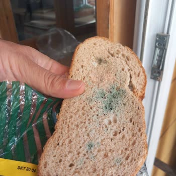 Kepez Vakfı Kepez Vakıf Ekmek