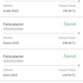 Palgaz Akıldışı Kıyas Fatura