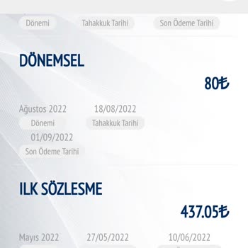 Palgaz Akıldışı Kıyas Fatura