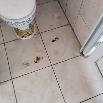 Milli Eğitim Bakanlığı (MEB) Okul Hijyen Koşullarının İyileştirilmesi Talebi