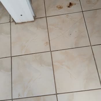 Milli Eğitim Bakanlığı (MEB) Okul Hijyen Koşullarının İyileştirilmesi Talebi