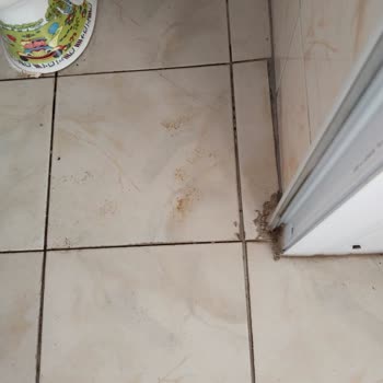 Milli Eğitim Bakanlığı (MEB) Okul Hijyen Koşullarının İyileştirilmesi Talebi