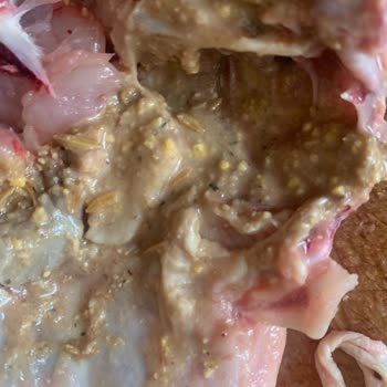 A101 Çöpe Atılacak Ürün Satıyor!