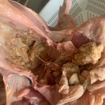 A101 Çöpe Atılacak Ürün Satıyor!