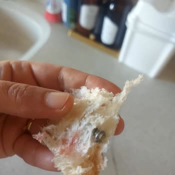 Dudullu Merkez Fırın Ekmekte Vida Çıktı