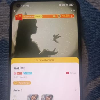 WePlay Hesabım Kalıcı Ban Yedi